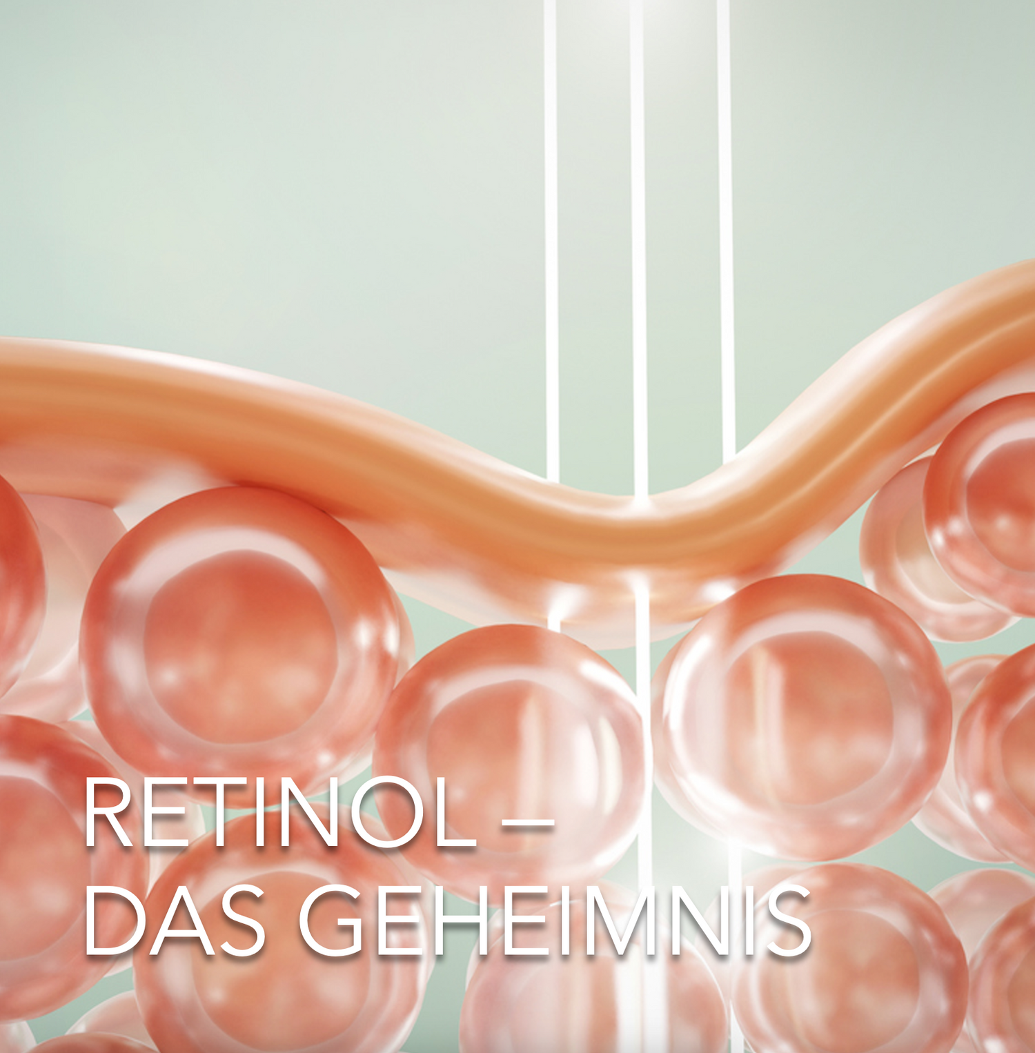 RETINOL — DAS GEHEIMNIS ENTHÜLLT