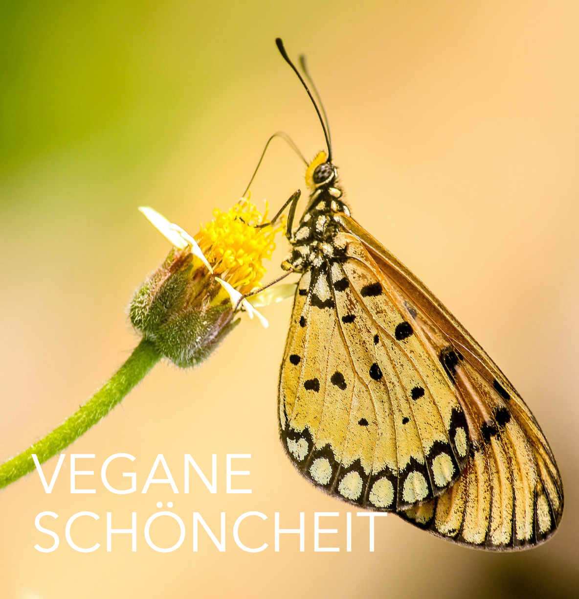 VEGANE SCHÖNHEIT